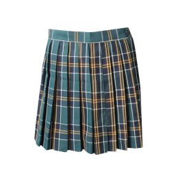 Design Striped Checkered Skirt Order Half Pleated School Uniform Skirt Side Zipper Retail School Uniform Skirt Supplier Australia School Skirt OEM SU319 Design Striped Checkered Skirt Order Half Pleated School Uniform Skirt Side Zipper Retail School Uniform Skirt Supplier Australia School Skirt OEM SU319